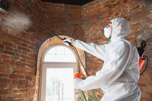 Bowling Green, OH Mold Removal Company